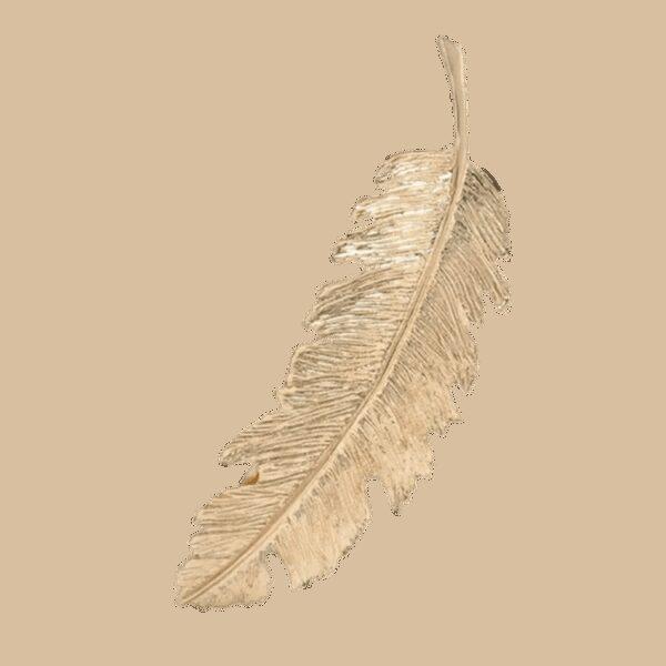 image_10 Haarspeld met veer