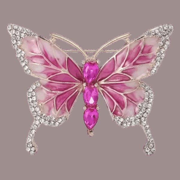 image_156 Broche met wonderlijke vlinder