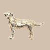 image_197 Broche met flamboyante hond