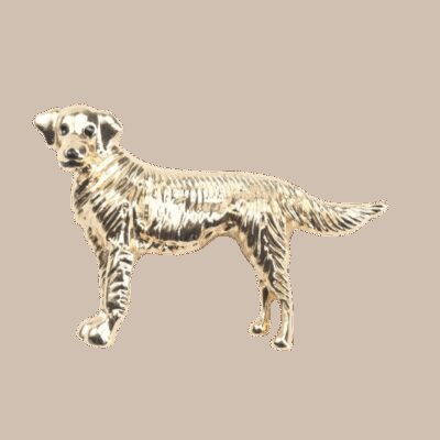 image_197 Broche met flamboyante hond