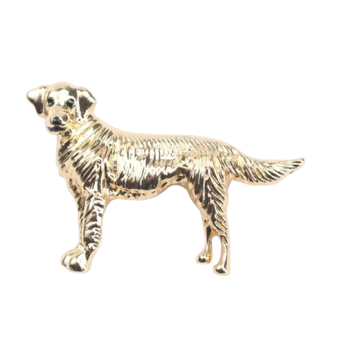 image_197 Broche met flamboyante hond