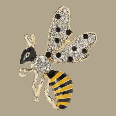 image_257 Broche strass & gold bij