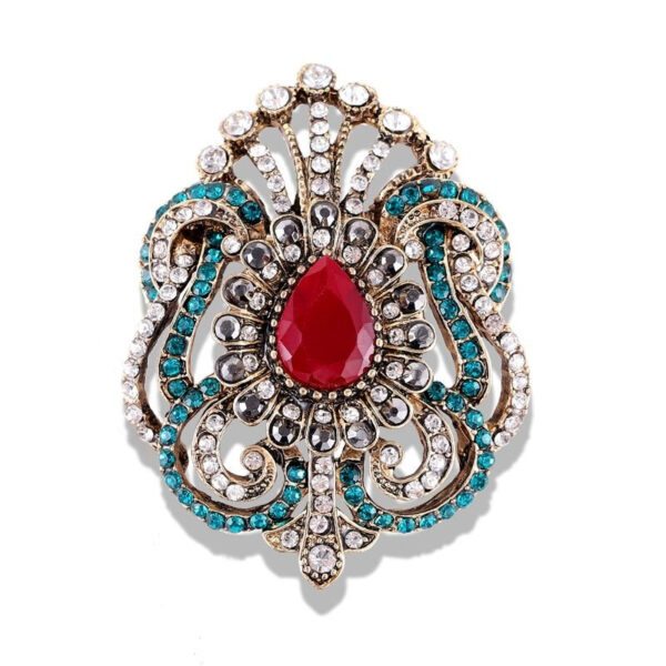 image_335 Antieke broche Medicis