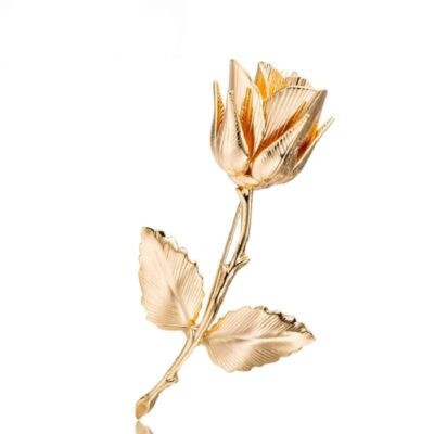 image_450 Broche met gouden roos