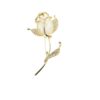 image_477 Broche met gouden roos