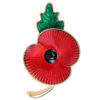 image_490 Poppy-bloem broche met steel en blad