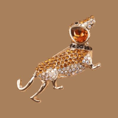 image_503 Broche hond long story