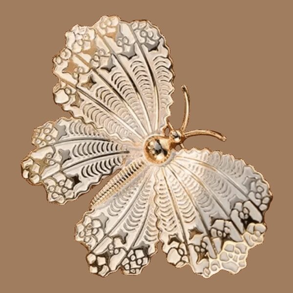 image_553 Picture perfect vlinderbroche