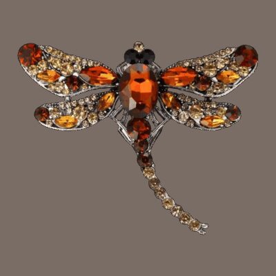 image_557 Relax bruine libelle broche