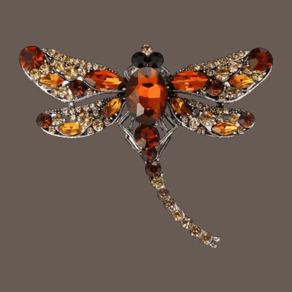 image_557 Relax bruine libelle broche