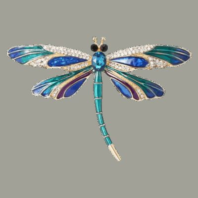 image_564 Broche libelle kristalheldere schoonheid