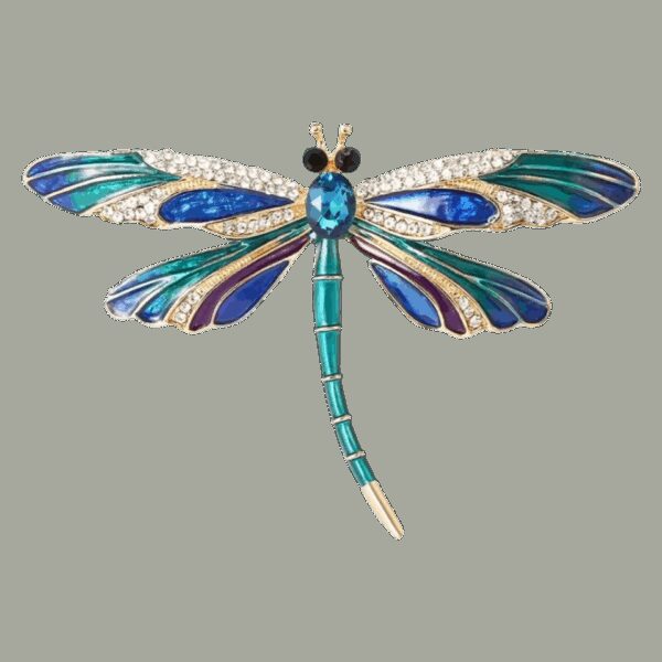 image_564 Broche libelle kristalheldere schoonheid