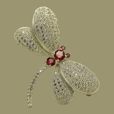 image_566 Broche libelle eeuwig geluk