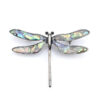 image_567 Broche libelle dromerige weerspiegelingen