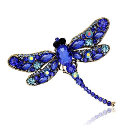 image_569 Broche libelle elektrisch blauw