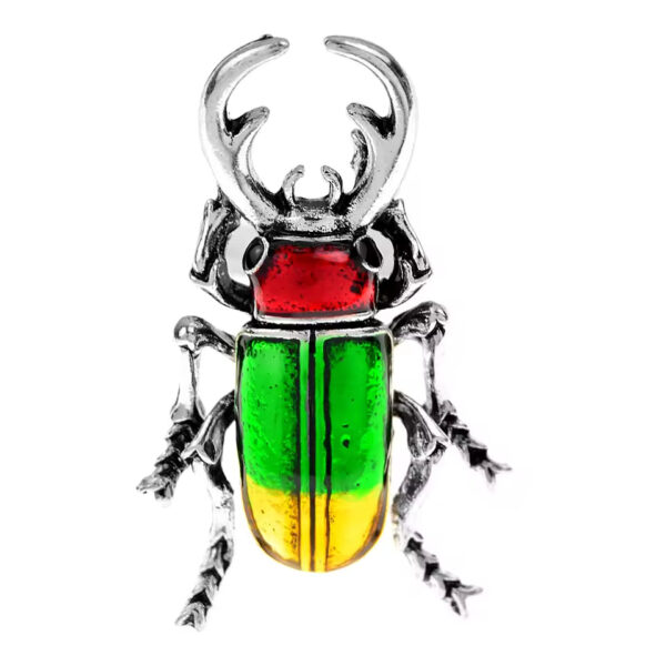 image_585 Broche met Mexicaanse kever