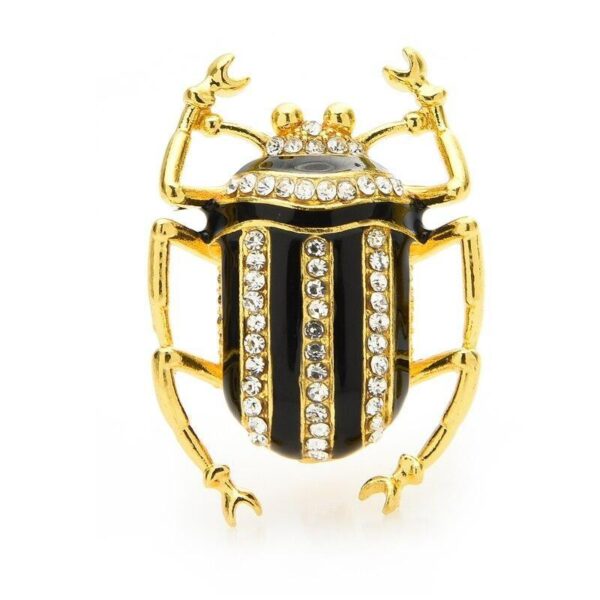 image_586 Broche met nemesiskever