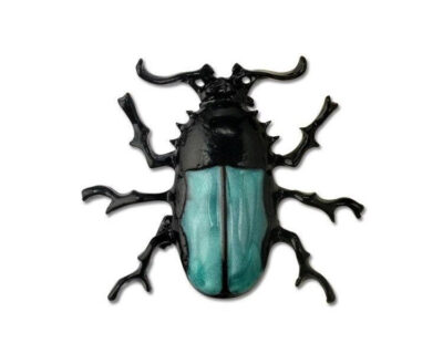 image_592 Zwarte en groene keverbroche