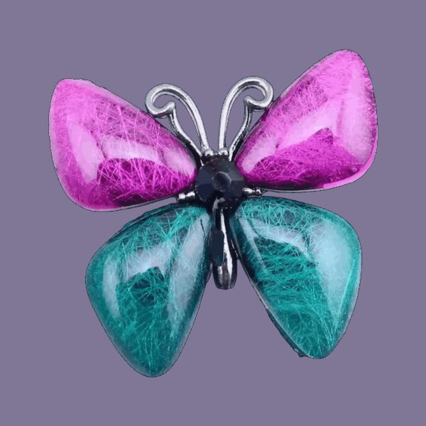 image_598 Tulpenvlinderbroche