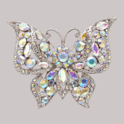 image_599 Polaris vlinderbroche