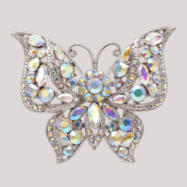 image_599 Polaris vlinderbroche