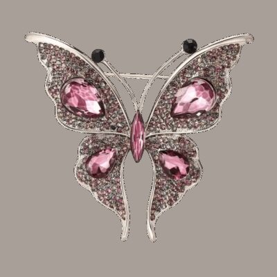 image_603 Vlinderspeld Centrifugale kracht