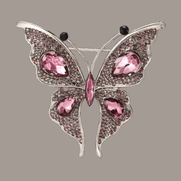 image_603 Vlinderspeld Centrifugale kracht