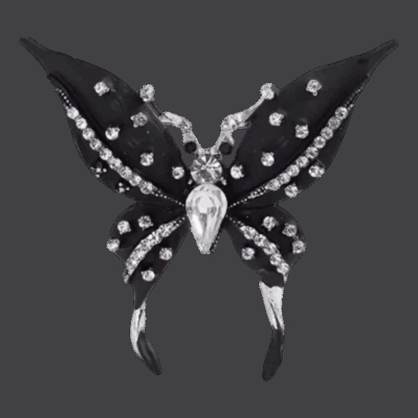 image_608 Vlinderbroche Necrosis