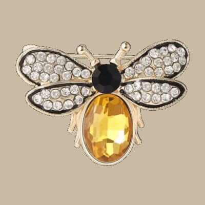 image_631 Broche met passie-kristallen bij