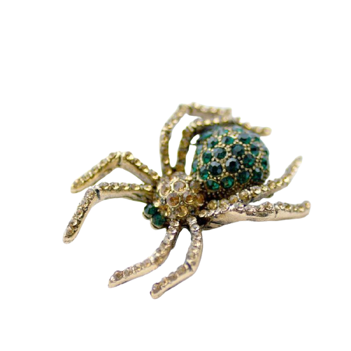 image_635 Tweekleurige spinbroche