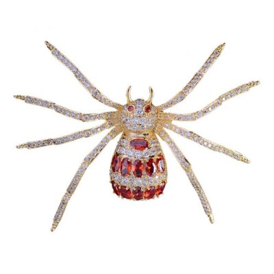 image_639 Spiegelende spinbroche