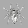 image_667 Spinnenbroche met synthetische diamant