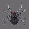 image_668 Spinnenbroche zwart en grijs/goud