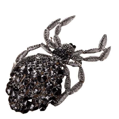 image_674 Spinnenbroche met strass