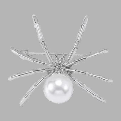 image_678 Zilveren spinnenbroche