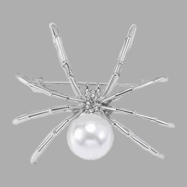 image_678 Zilveren spinnenbroche